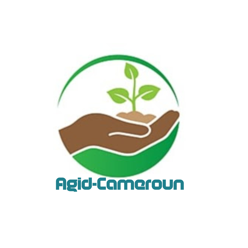 Poster 2024 06 03 53314