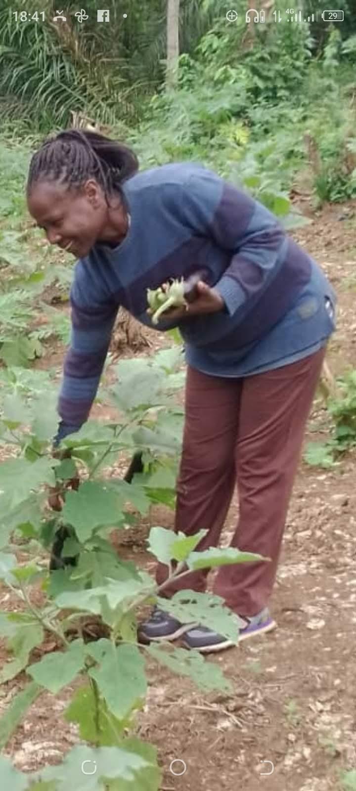 Screenshot 20230723 184138